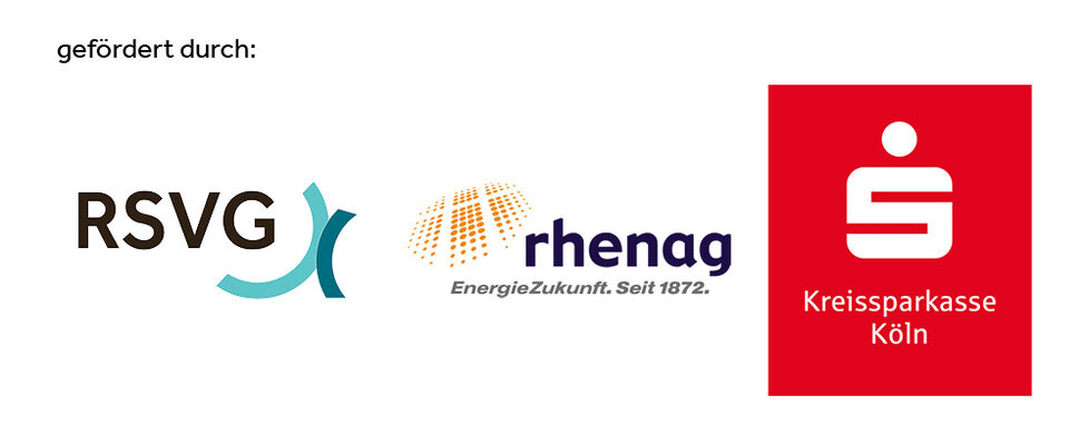 Rhenag KSK Logos